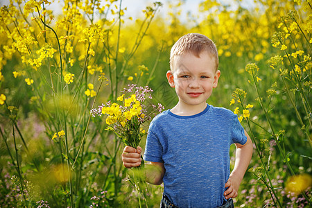 带花束的可爱男孩 在黄色花朵拉图片
