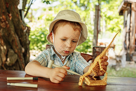小男孩想当考古学家 做考古学家冒险幼儿园知识颅骨骨骼历史恐龙学校男生动物图片
