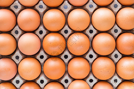 早餐包装包装在托盘中的鸡蛋农场母鸡盒子产品市场纸盒营养团体早餐宏观背景