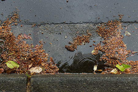 暴风雨中排水沟路面下水道叶子棕色反射网格城市风暴季节性红色图片