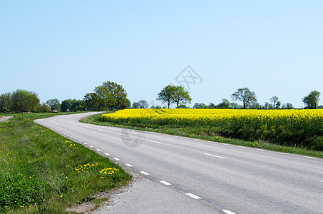 瑞典乡村情结在春天彩色地貌的路上背景