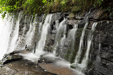水坝瀑布风景运动环境森林溪流公园苔藓叶子石头岩石图片