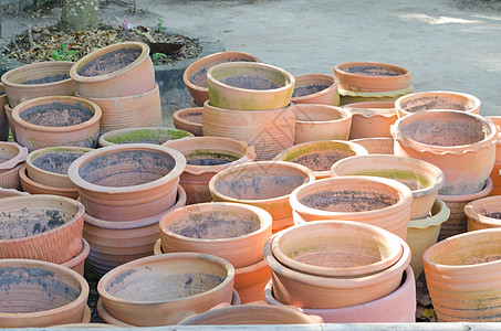 Clay花盆 有生长苗圃的树苗园艺风格装饰陶器空白白色橙子土制植物土壤图片