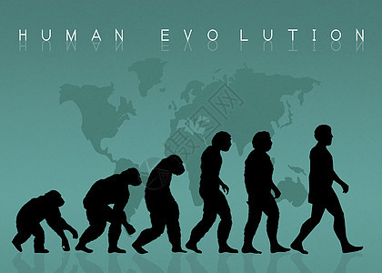 人类进化剪影生活古生物学地球动物科学概念灵长类起源历史插图背景图片