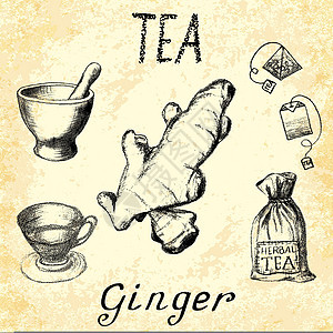 姜草药茶 一套基本元素 在手笔图纸上背景图片