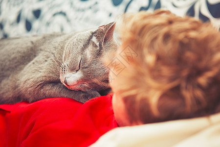 有猫的男子友谊猫科休息动物同伴毛皮拥抱宠物感情情感图片