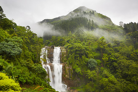 瀑布森林地区风景地点山脉溪流植物极端岩石石头图片