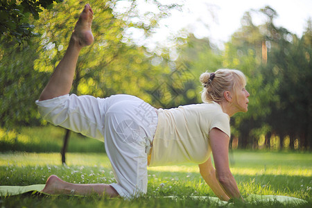 在公园的瑜伽妇女绿色运动白色女性女士老年闲暇身体姿势训练图片