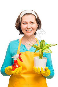 将花朵放在一个罐子中的家庭主妇 在白色背景上拍摄在图片