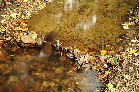 小型小溪流动叶子森林季节溪流公园水晶石头棕色岩石图片