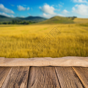 以小麦为农业背景的模糊田野中图片