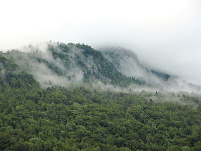 寒山美术馆奥地利阿尔卑斯山寒雨后森林水蒸汽天气薄雾秘密蒸汽季节水蒸气风景环境迷雾旅行背景