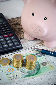 波兰硬币和小猪银行 计算储蓄经济商业银行业平衡玩具预算财富投资订金小猪图片