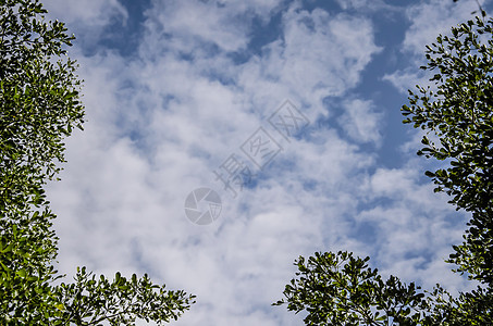 蓝色天空 白云晴天地平线阳光柔软度天气环境气候臭氧儿子气氛图片