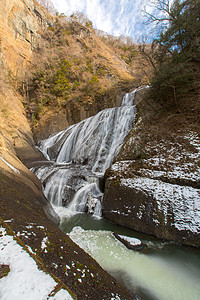 Fukuroda 秋冬叶子场景瀑布植物流动绿色白色飞溅岩石图片