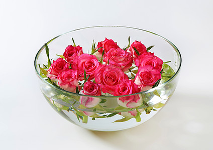 带玫瑰的玻璃碗花朵花瓣粉色图片