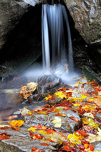 秋季森林中的山河地区苔藓流动瀑布叶子季节溪流农村风景荒野岩石图片