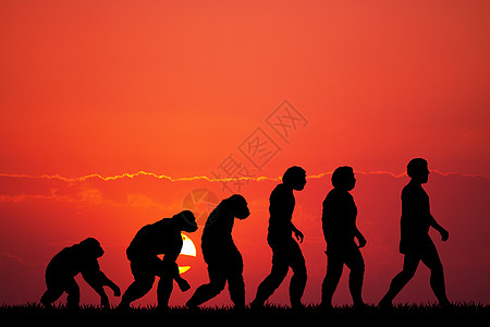 人类进化剪影太阳勘探生活起源日落科学男人动物历史插图图片