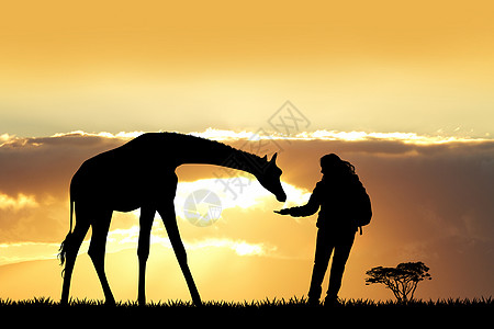 日落时女童和长颈鹿图片