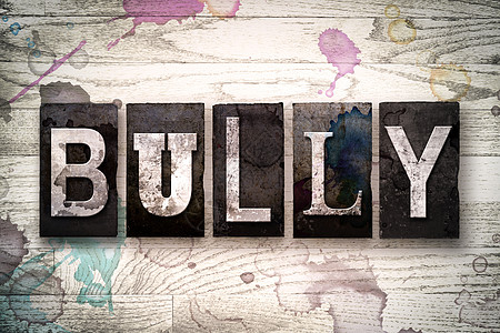 Bully概念 金属印刷品类型图片