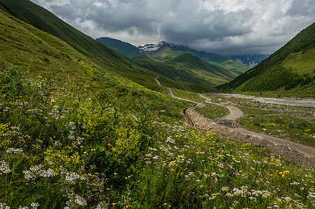 带鲜花的草地爬坡顶峰旅行自由天空假期冥想森林岩石蓝色图片