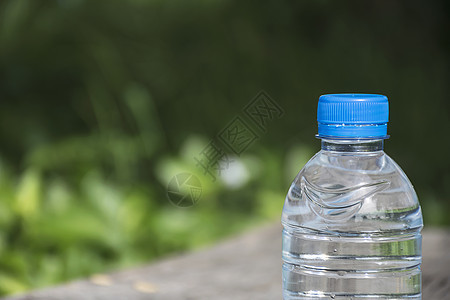 木头桌上的水瓶液体塑料叶子矿物环境瓶装活力瓶子植物蓝色图片