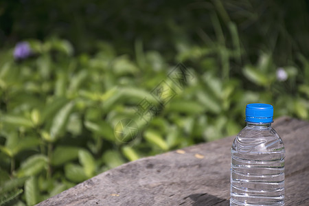 木头桌上的水瓶桌子蓝色植物矿物塑料瓶子活力液体瓶装叶子图片