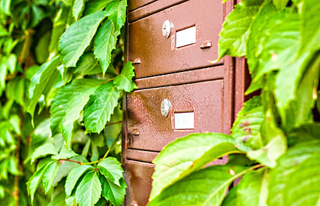 葡萄叶之间墙上的信箱邮箱树篱钥匙邮件金属住宅装饰风格木头葡萄园图片