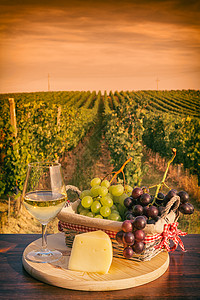 日落时在葡萄园前的白酒杯红色酒厂场地玻璃食物水果乡村栽培葡萄白色图片