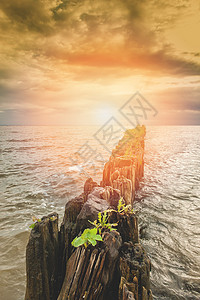 海上的裂开水墙纸场景波浪假期海岸日落鹅卵石阳光全景边界图片
