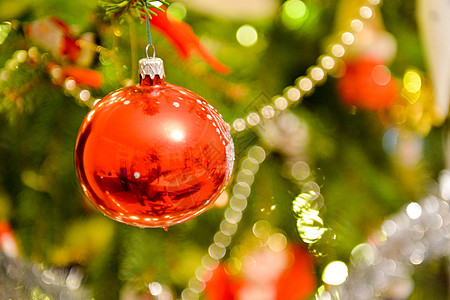 圣诞树装饰假期庆典玩具松树插图星星雪花展示盒子花环图片
