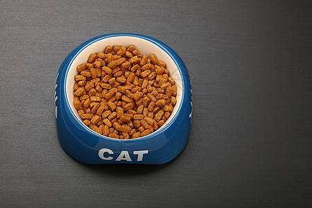 黑地板陶瓷碗中的干猫食品营养棕色圆形黑色吃饭盘子白色动物时间小吃背景图片
