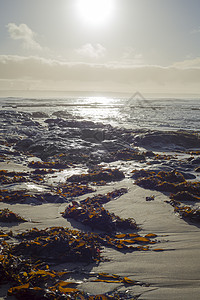 倾斜的日落岩石上的海浪图片