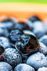 在一个碗里冰冻的阿罗诺尼亚浆果健康苦莓营养黑色黑果食物水果饮食宏观图片