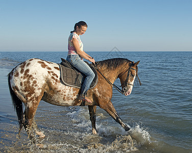 女人和阿帕鲁萨马假期骑术运动女士女骑士游泳海滩骑马女孩动物图片