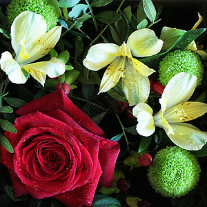 美丽的花束花礼物婚礼兰花花朵收藏花店花瓣纪念日装饰花瓶图片