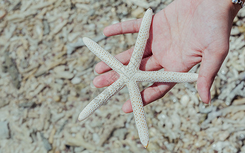 在热带海滩女孩的手上 紧贴星辰假期旅游自由海岸线海星海浪闲暇海洋天堂宏观图片