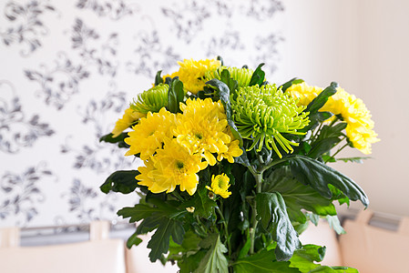黄色和绿色的菊花布装饰植物菊花季节花束花瓣桌子房间花朵叶子图片