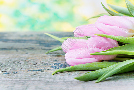 粉红郁金花花假期花束绿色季节礼物植物木板叶子水平粉色图片