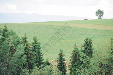 蓝天空下覆盖着绿草的山丘阳光蓝色场地农村多云风景农业农场丘陵爬坡图片