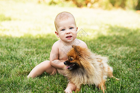 小宝宝玩狗Pomeranian 吐口水在绿草上图片