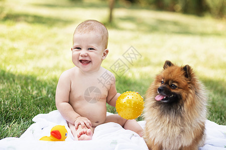 美丽的小宝宝与Pomeranian吐唾液 对抗绿色自然的逆质图片