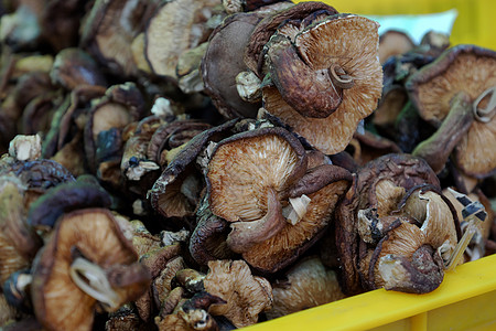 农户市场枯竭的蘑菇安全展示农贸市场饮食营销店铺农民产品营养纤维图片