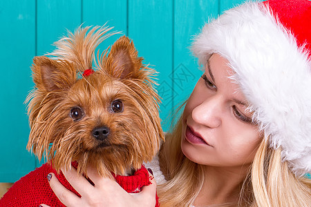 穿着红毛衣的雅琪狗穿红色毛衣毛皮日志猎犬夹克女性乐趣宠物手套森林女士图片