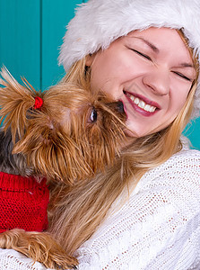 穿着红毛衣的雅琪狗穿红色毛衣动物宠物头发松树女性猎犬微笑工作服情绪帽子图片