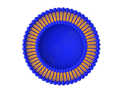 利波萨双层结构 3D 说明配体药物医疗细胞药品送货运输结晶表面疏水性图片