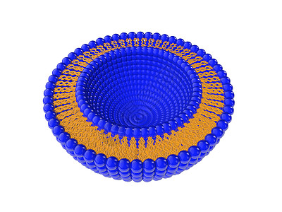 利波萨双层结构 3D 说明医疗配体运输脂质体表面药品细胞药物结晶疏水性图片