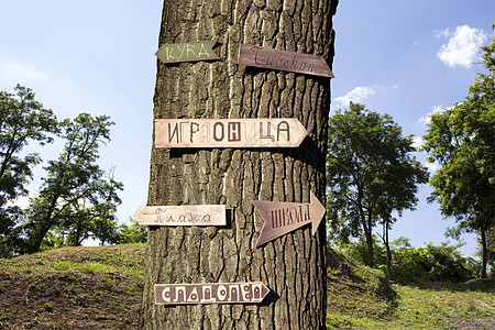 树木在林中 树上有许多迹象标签指示牌招牌风化邮政适应症木板森林褪色变色图片