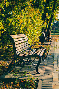 秋季公园的座椅 美丽的秋天风景生活长椅木头阳光小路橙子人行道季节花园植物图片