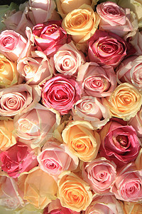 面粉玫瑰花装饰品植物群花束婚礼婚姻玫瑰新娘中心团体鲜花图片